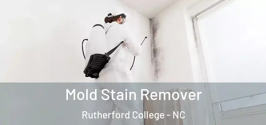  Mold Stain Remover Rutherford College - NC