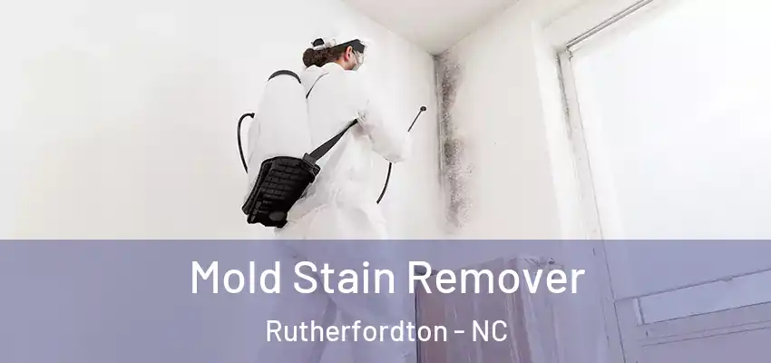 Mold Stain Remover Rutherfordton - NC