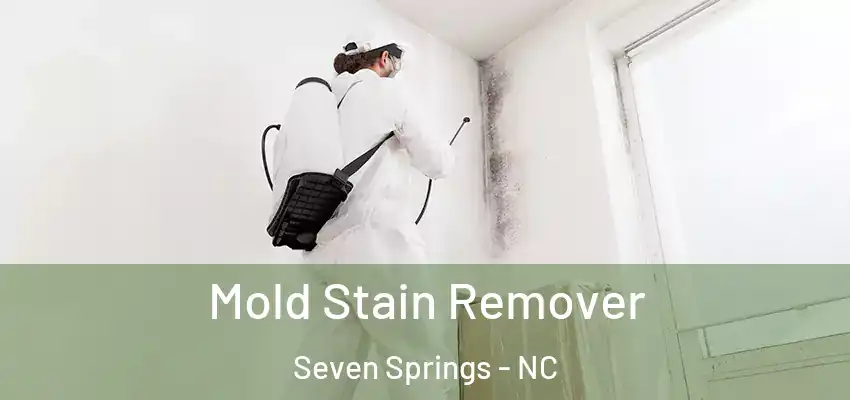  Mold Stain Remover Seven Springs - NC