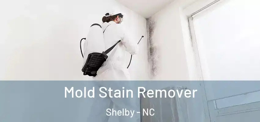  Mold Stain Remover Shelby - NC