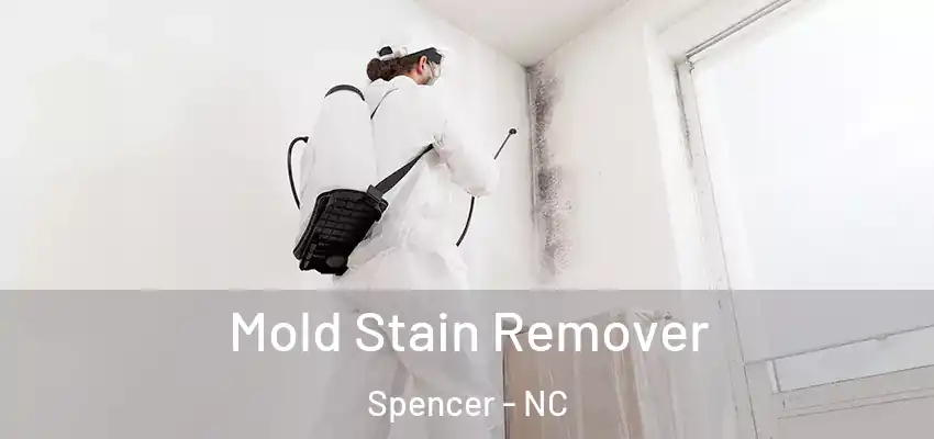 Mold Stain Remover Spencer - NC