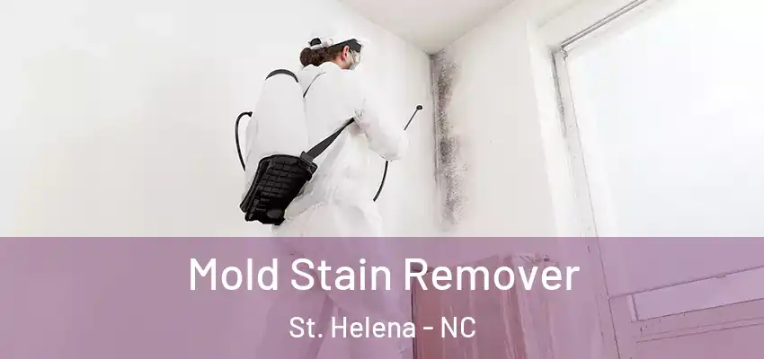  Mold Stain Remover St. Helena - NC