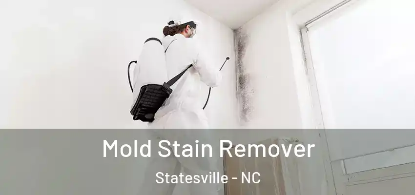 Mold Stain Remover Statesville - NC