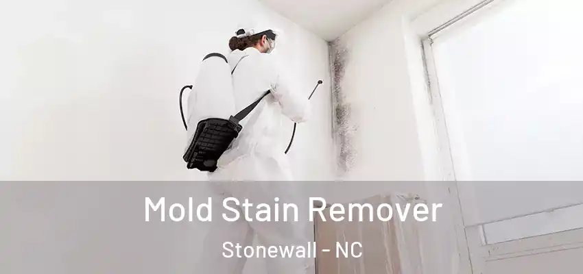  Mold Stain Remover Stonewall - NC