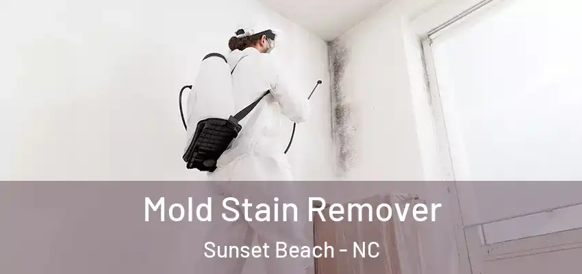  Mold Stain Remover Sunset Beach - NC