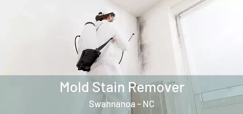  Mold Stain Remover Swannanoa - NC