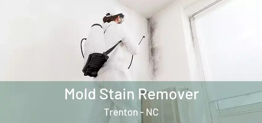  Mold Stain Remover Trenton - NC