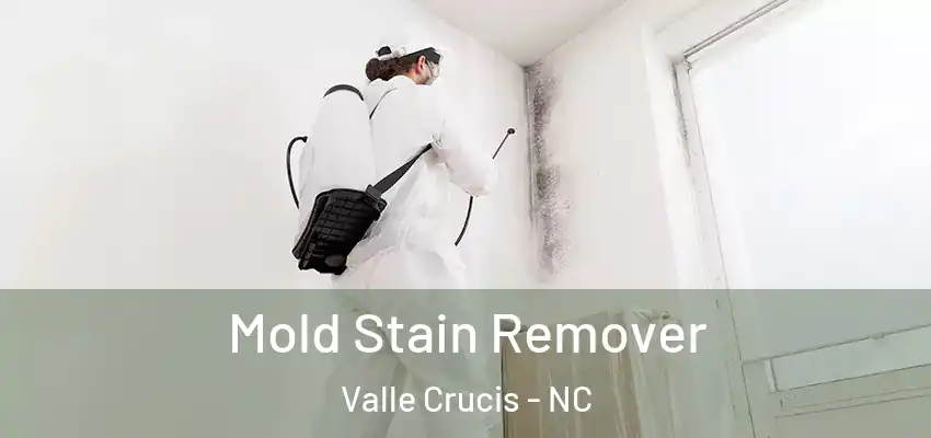  Mold Stain Remover Valle Crucis - NC