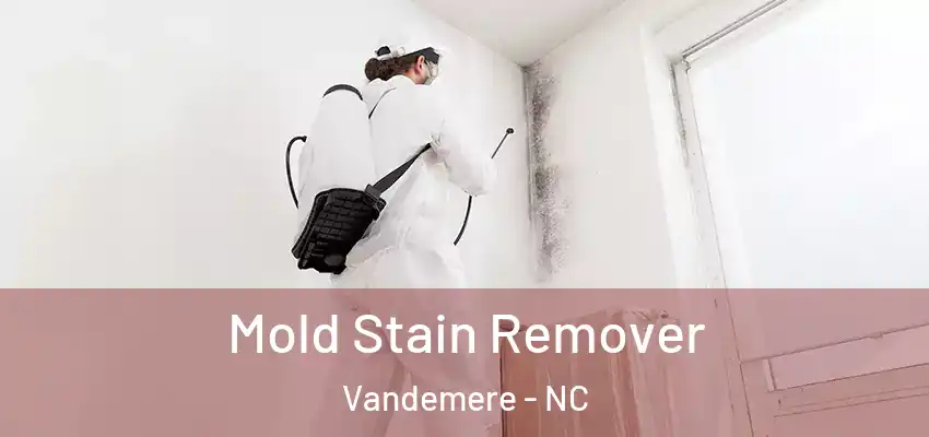  Mold Stain Remover Vandemere - NC