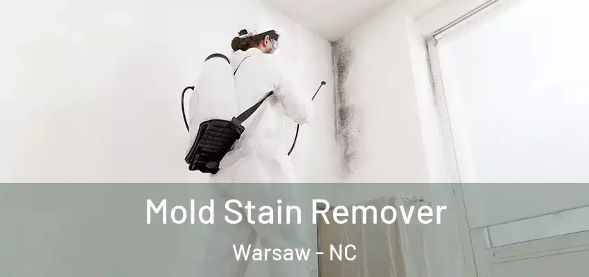 Mold Stain Remover Warsaw - NC
