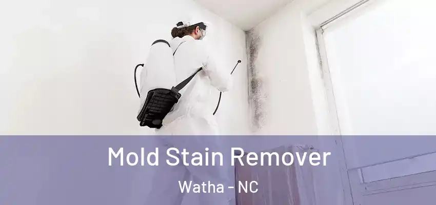  Mold Stain Remover Watha - NC