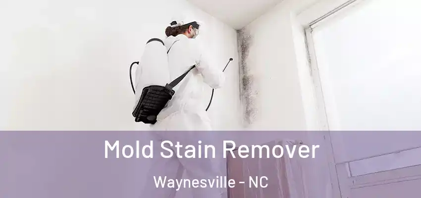  Mold Stain Remover Waynesville - NC