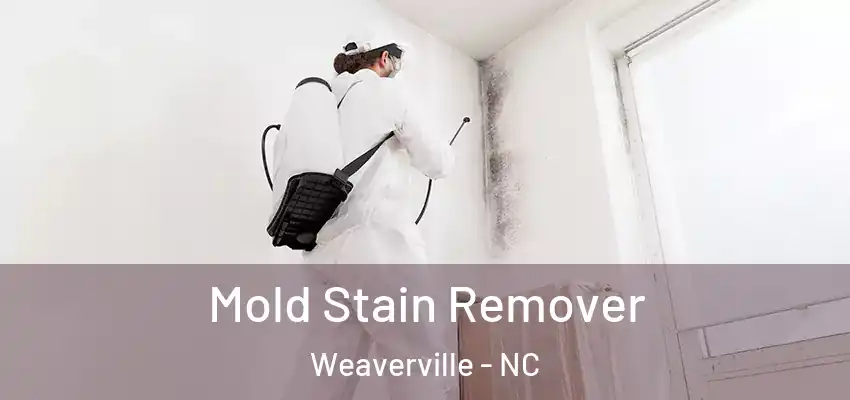  Mold Stain Remover Weaverville - NC