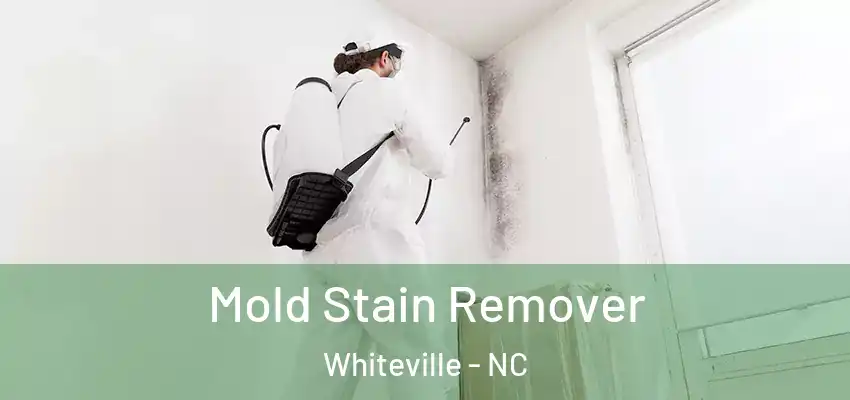  Mold Stain Remover Whiteville - NC