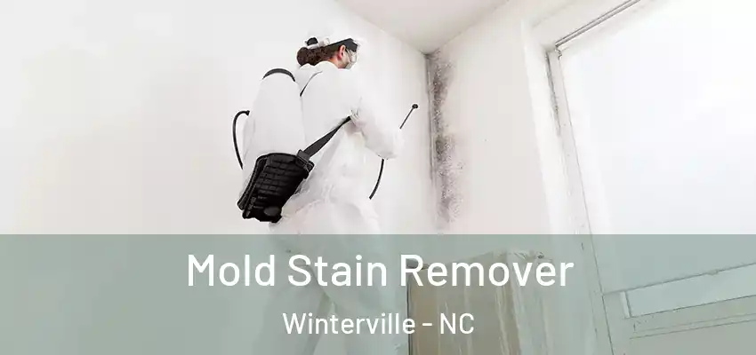  Mold Stain Remover Winterville - NC