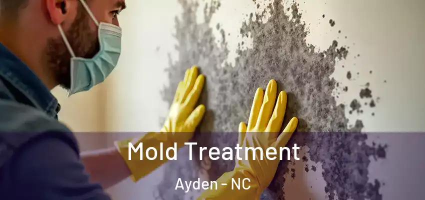  Mold Treatment Ayden - NC