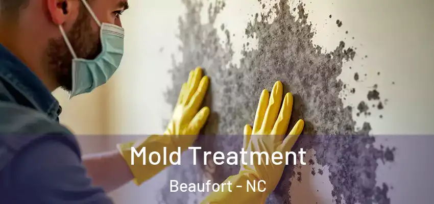  Mold Treatment Beaufort - NC