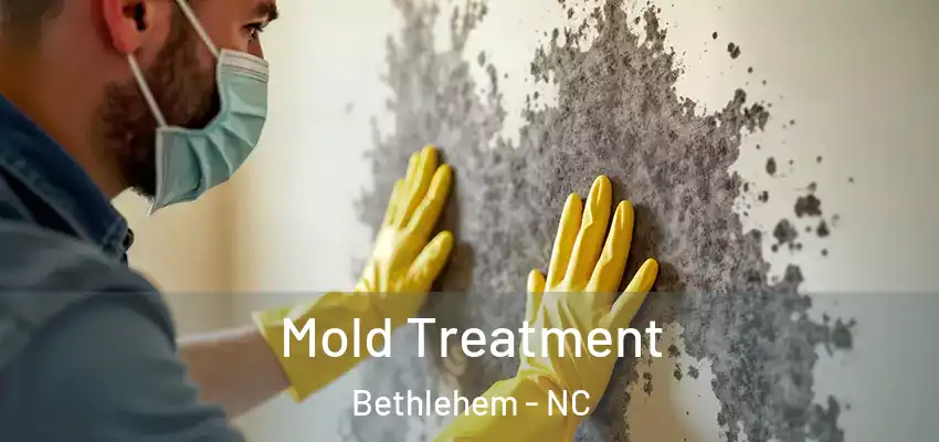  Mold Treatment Bethlehem - NC