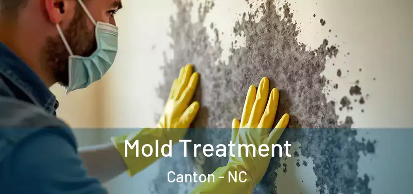 Mold Treatment Canton - NC