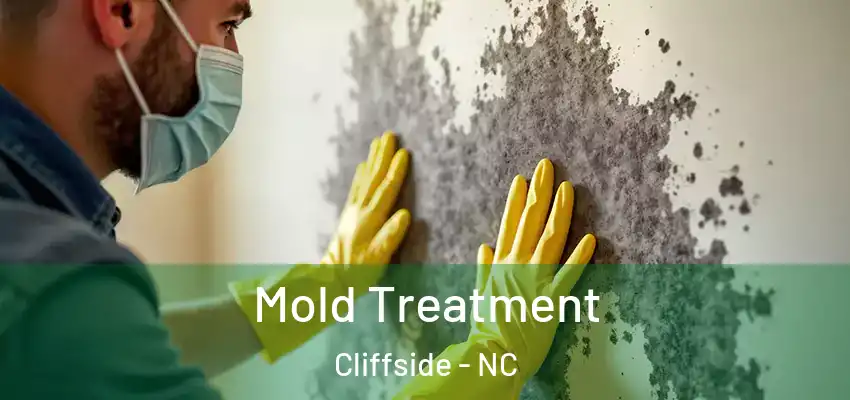  Mold Treatment Cliffside - NC