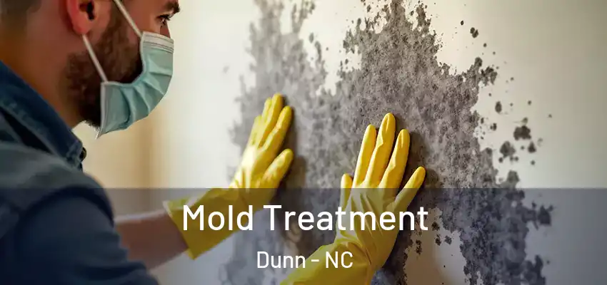 Mold Treatment Dunn - NC