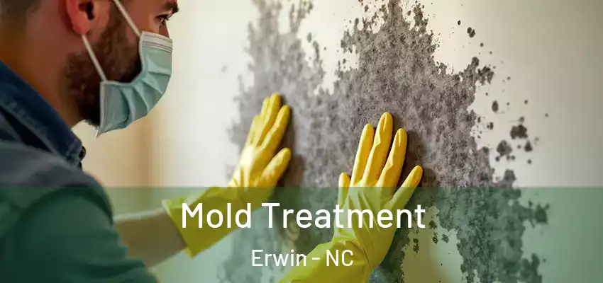  Mold Treatment Erwin - NC