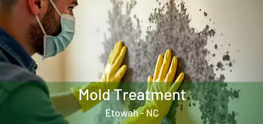  Mold Treatment Etowah - NC