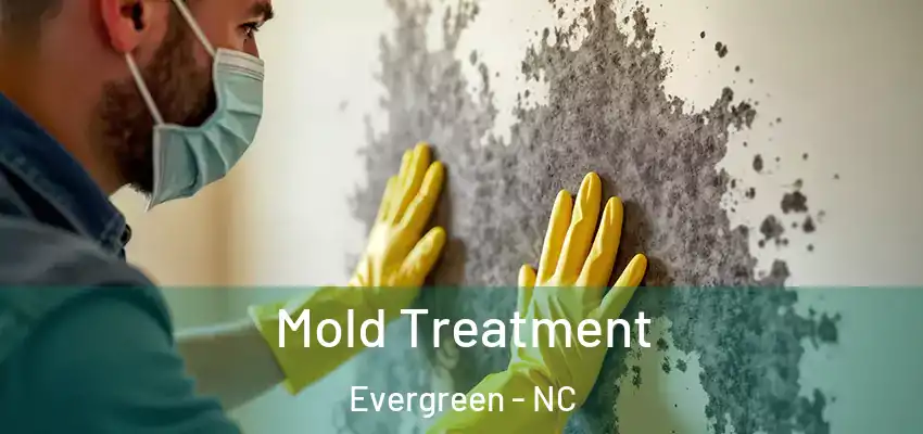  Mold Treatment Evergreen - NC