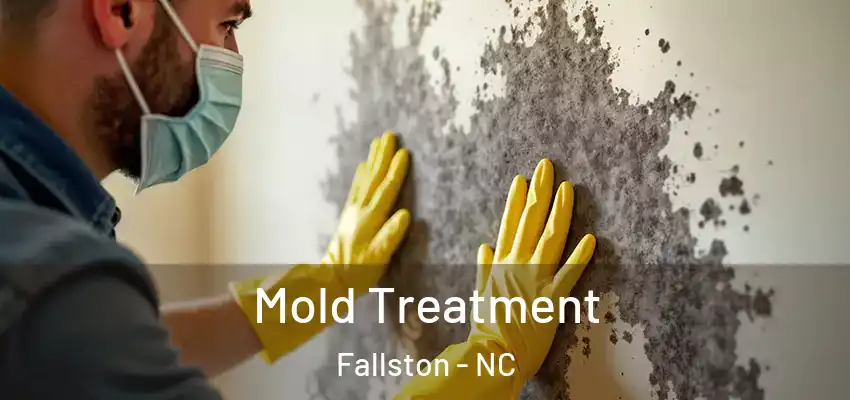  Mold Treatment Fallston - NC