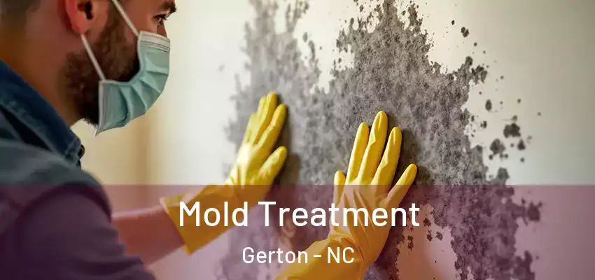 Mold Treatment Gerton - NC