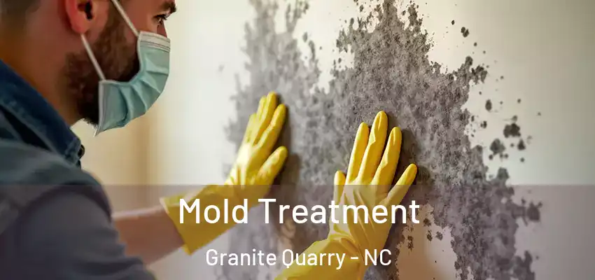 Mold Treatment Granite Quarry - NC