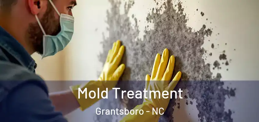 Mold Treatment Grantsboro - NC