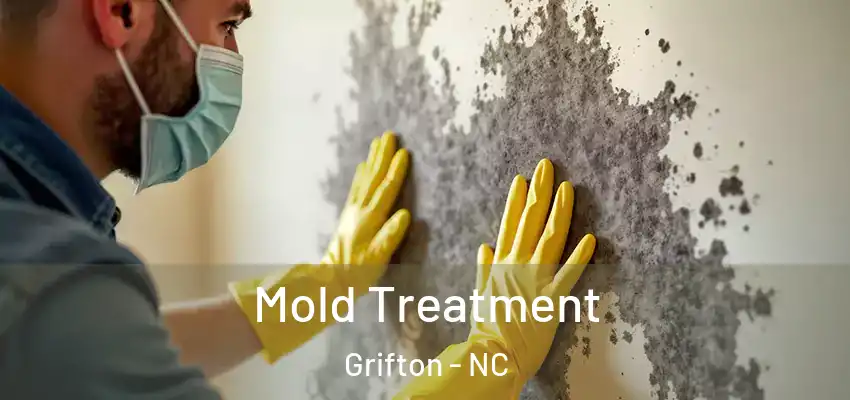  Mold Treatment Grifton - NC