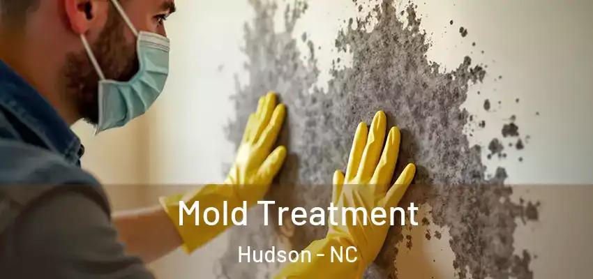  Mold Treatment Hudson - NC