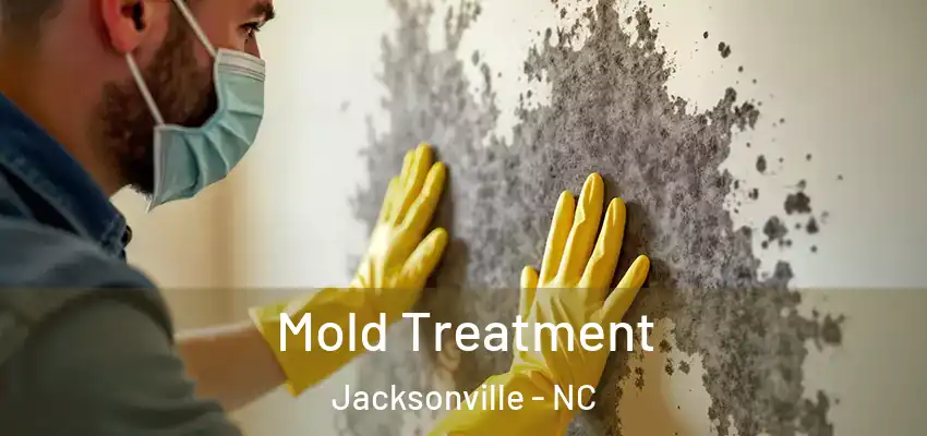  Mold Treatment Jacksonville - NC