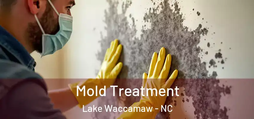  Mold Treatment Lake Waccamaw - NC