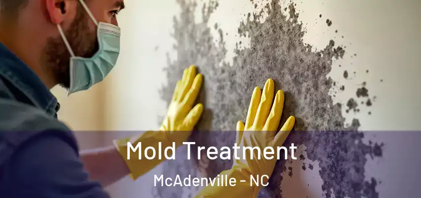  Mold Treatment McAdenville - NC