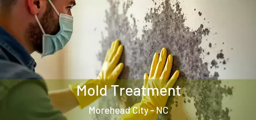  Mold Treatment Morehead City - NC