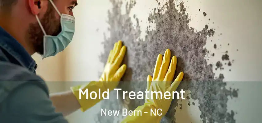  Mold Treatment New Bern - NC