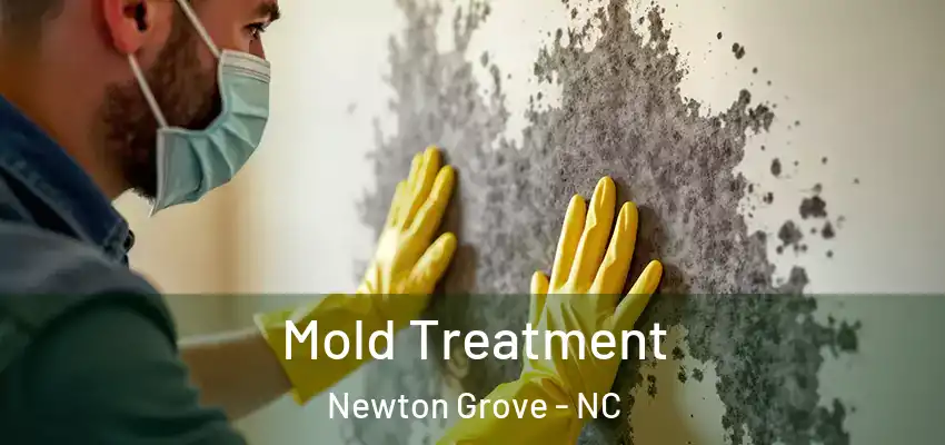  Mold Treatment Newton Grove - NC