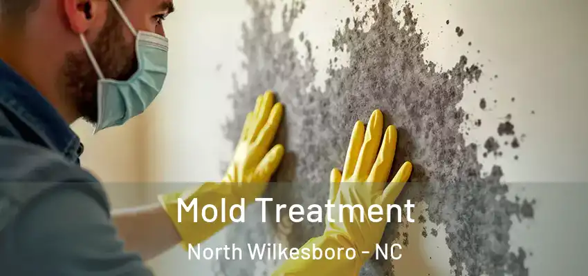  Mold Treatment North Wilkesboro - NC