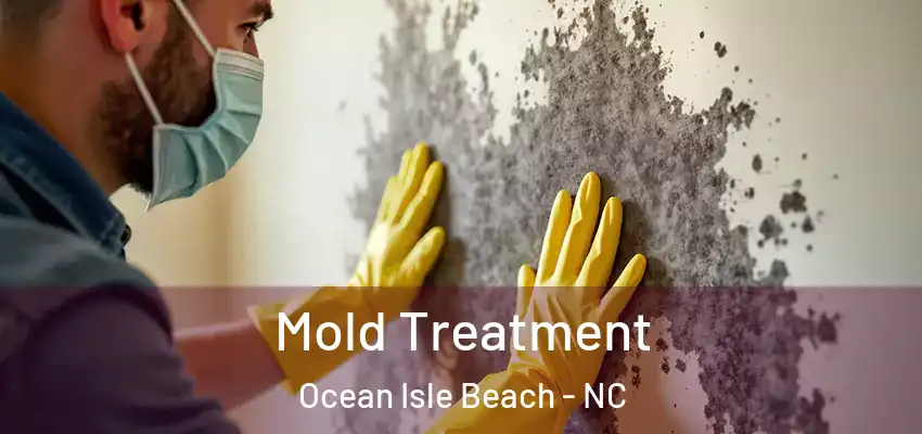  Mold Treatment Ocean Isle Beach - NC