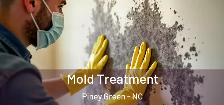  Mold Treatment Piney Green - NC