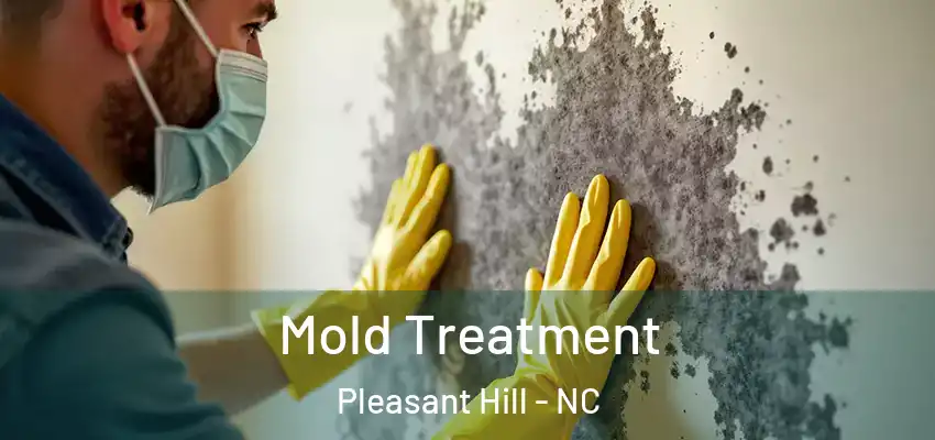  Mold Treatment Pleasant Hill - NC