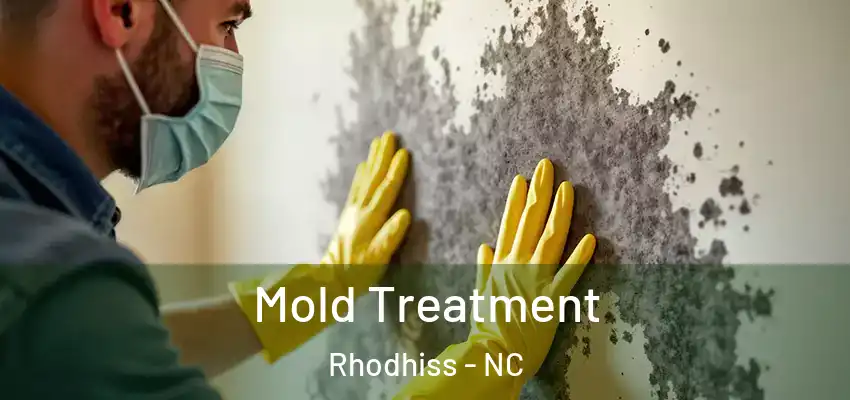  Mold Treatment Rhodhiss - NC