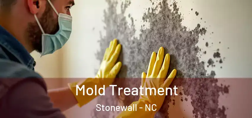 Mold Treatment Stonewall - NC