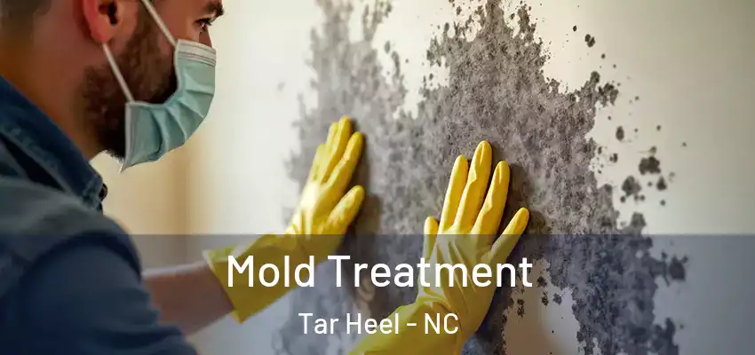  Mold Treatment Tar Heel - NC