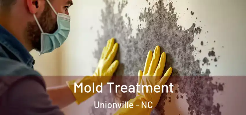 Mold Treatment Unionville - NC