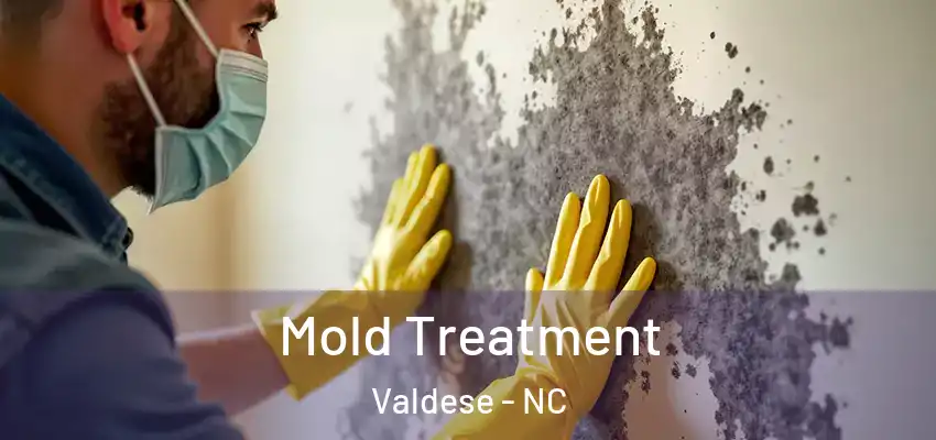  Mold Treatment Valdese - NC