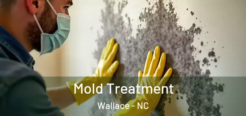  Mold Treatment Wallace - NC